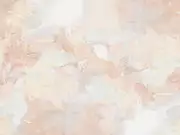 Thumb_af2136_col1