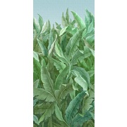Thumb_ofa2011_col1