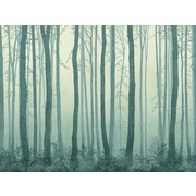 Thumb_ab308_col1