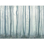 Thumb_ab308_col2
