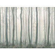 Thumb_ab308_col3