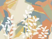 Thumb_af2163_col1