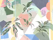 Thumb_af2192_col1