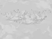 Thumb_af2198_col1