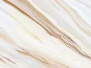 Thumb_re813_col1