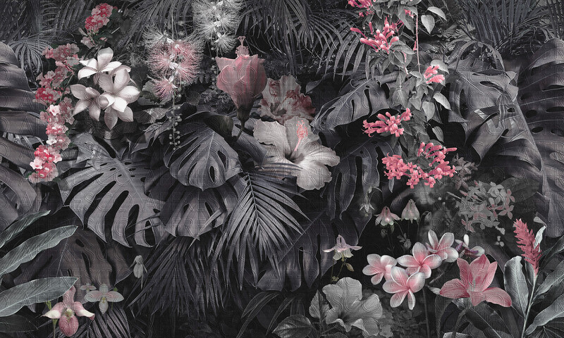 Big_re884_col1