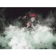 Thumb_re895_col4