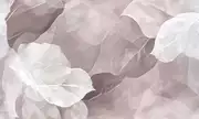 Thumb_af2343_col1
