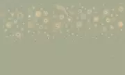 Thumb_l515_col15_gold