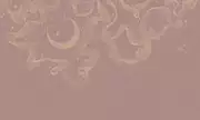 Thumb_l529_col29_gold