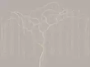 Thumb_l533_col33_gold