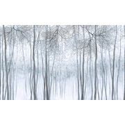 Thumb_af2117_col1