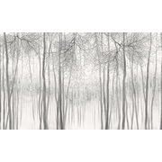 Thumb_af2117_col2