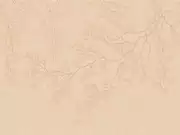 Thumb_af2120_col1
