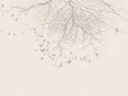 Thumb_af2157_col1