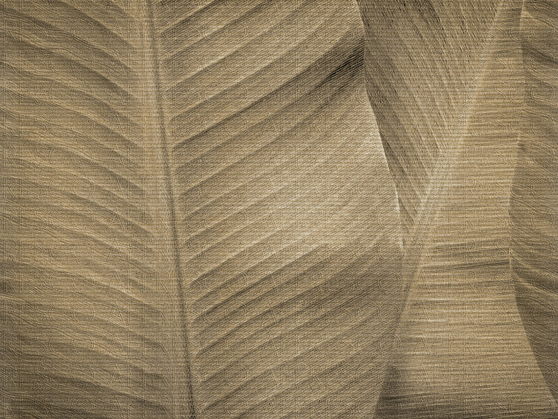 Big_re196_col2