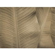 Thumb_re196_col2