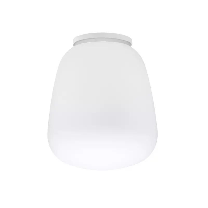 Big_nastennyy_potolochnyy_svetilnik_lumi_baka_d33_1
