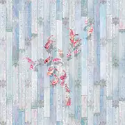 Thumb_dg62_col1
