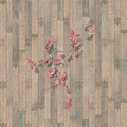 Thumb_dg62_col2