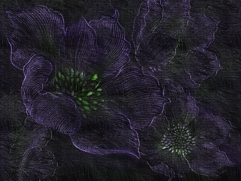 Big_sn106_col3