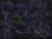 Thumb_sn106_col3