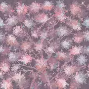 Thumb_af2080_col1