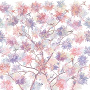 Thumb_af2080_col2
