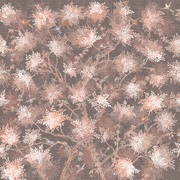 Thumb_af2080_col5