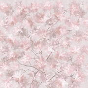 Thumb_af2080_col8