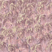 Thumb_af2086_col3