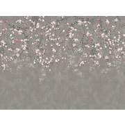 Thumb_af2087_col1