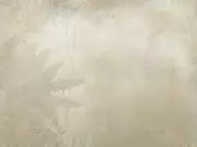 Thumb_id455_col1