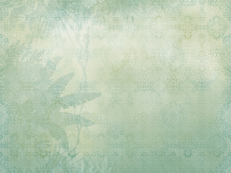 Big_id455_col2