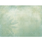Thumb_id455_col2