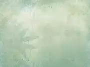 Thumb_id455_col2