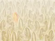 Thumb_jv415_col4