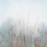 Thumb_zk420_col2