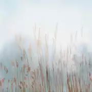 Thumb_zk420_col2