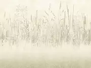 Thumb_zk441_col1
