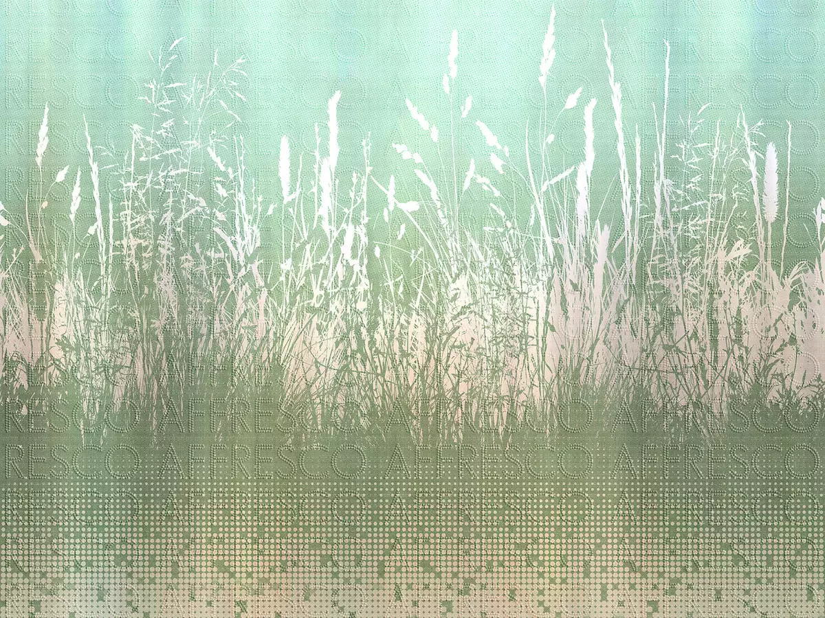 Big_zk441_col2