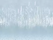 Thumb_zk441_col4