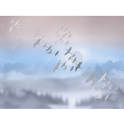 Thumb_zk444_col2