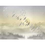 Thumb_zk444_col4