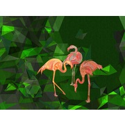 Thumb_zk482_col1