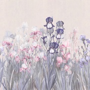Thumb_ab119_col2