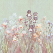 Thumb_ab119_col3