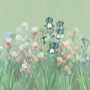 Thumb_ab119_col5