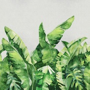 Thumb_ab131_col5