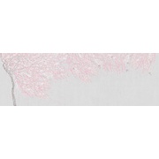 Thumb_ab139_col6